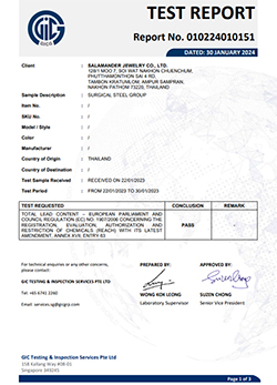 010224010151 SALAMANDER JEWELRY CO. LTD. SURGICAL STEEL GROUP